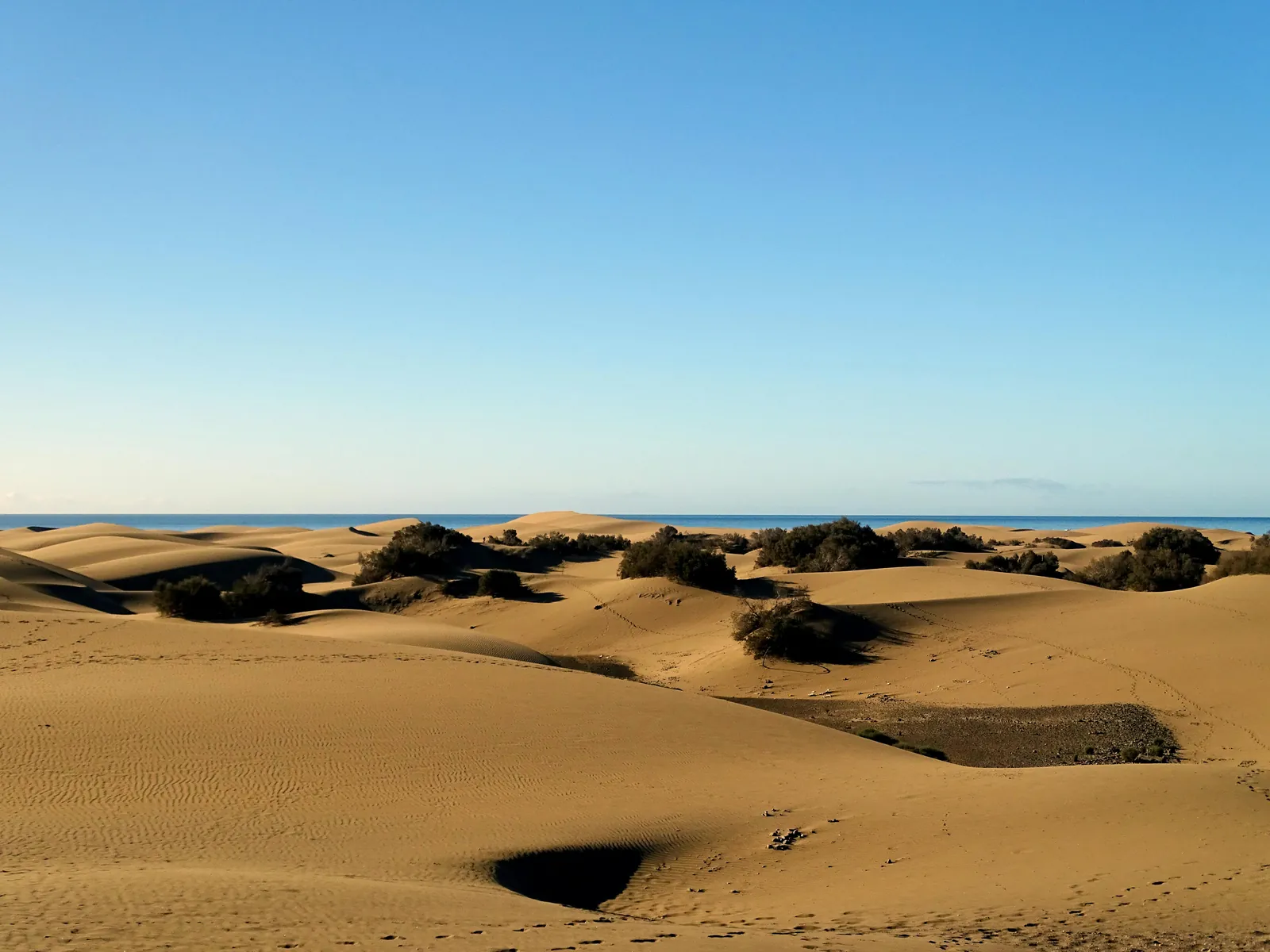 Dunes de sable doré sous un ciel dégagé