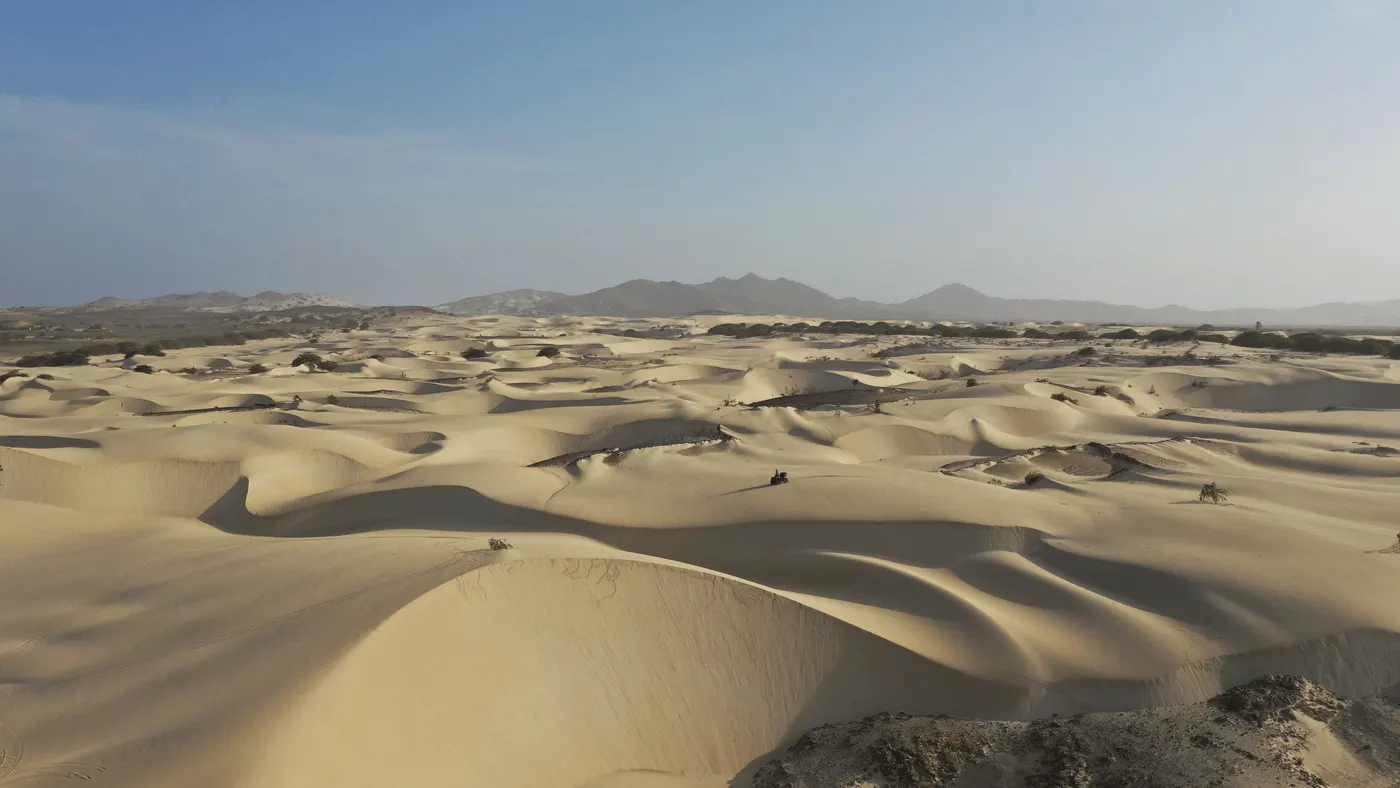 Les dunes de sable clair du désert de Viana