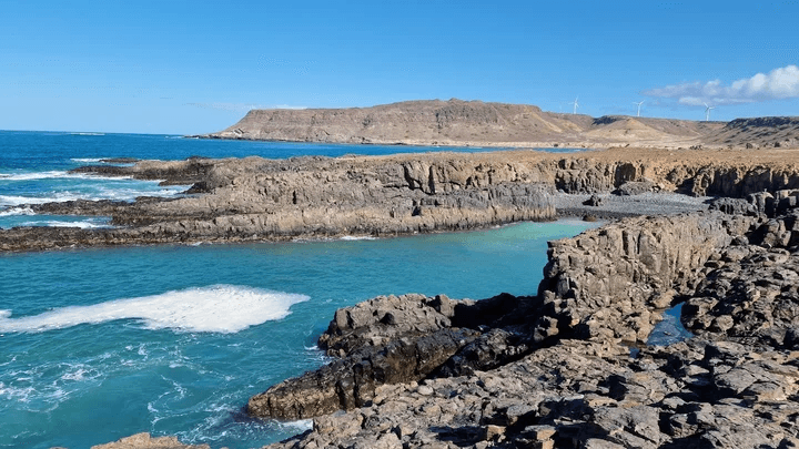 Oiseau marin sur les falaises de Boa Vista